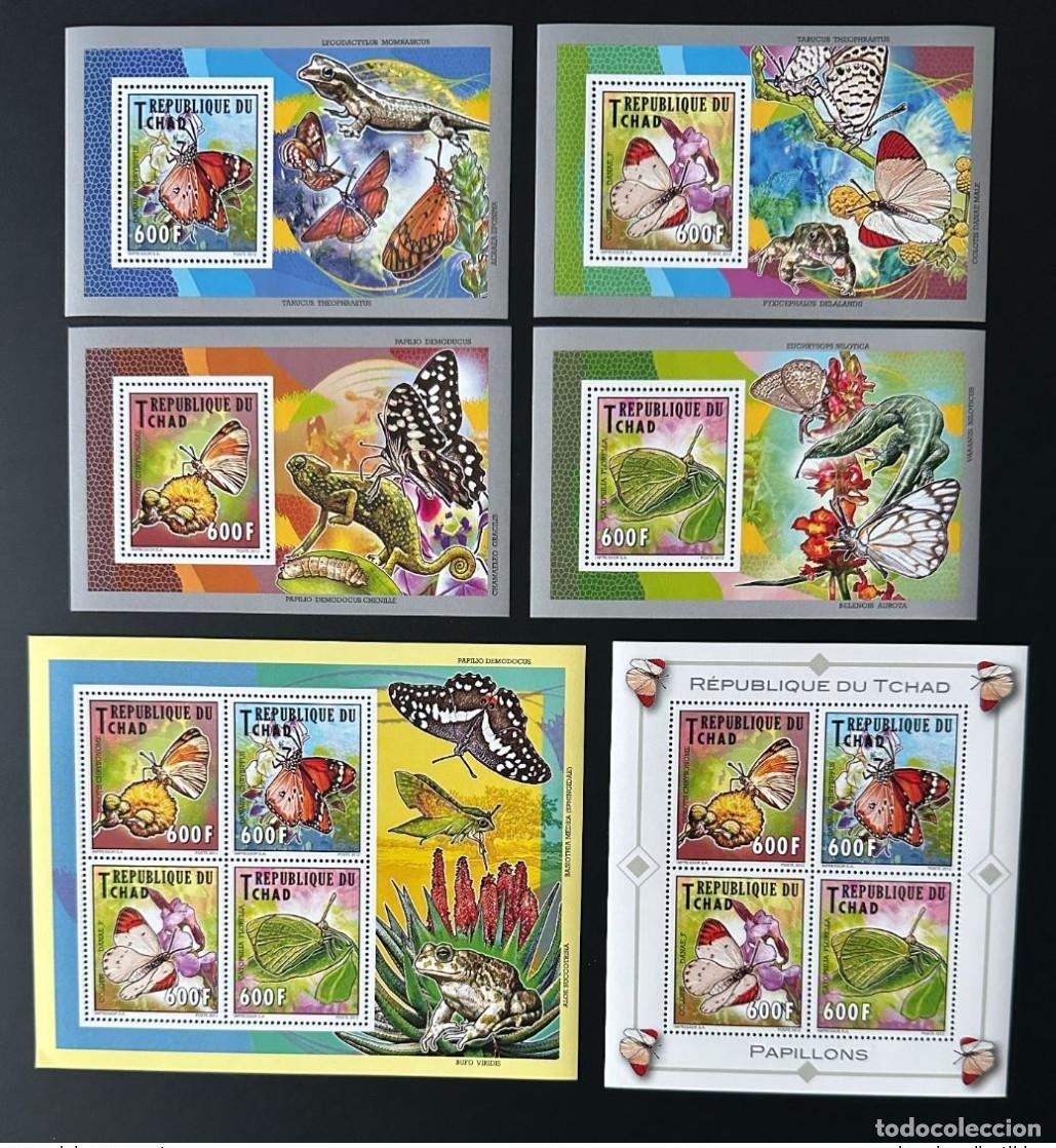 Sellos: Chad 2012 Mi. 2571 - 2574 Bl. 457 460 Mariposas Insectos Vida Silvestre