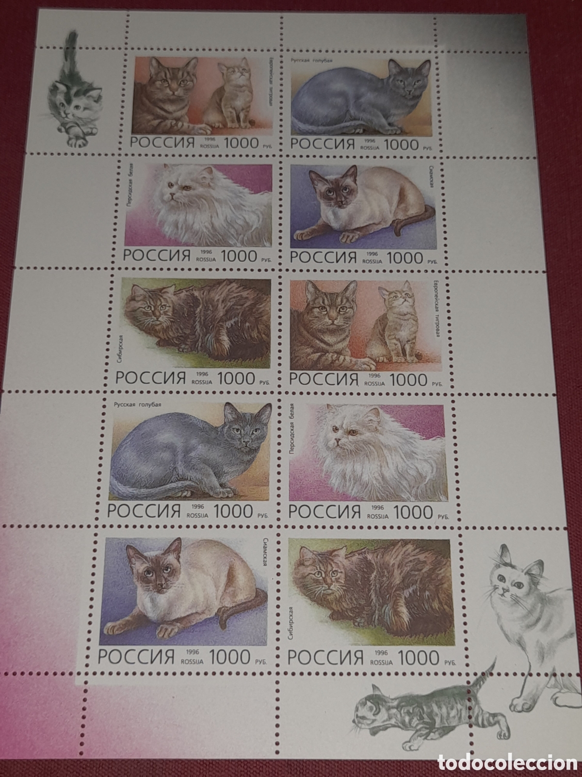 Sellos: HB Rusia (PCCCNR) nuevo 1996. Gatos. Fauna, animales dom&eacute;sticos. Felinos. Mam&iacute;feros. Persa.