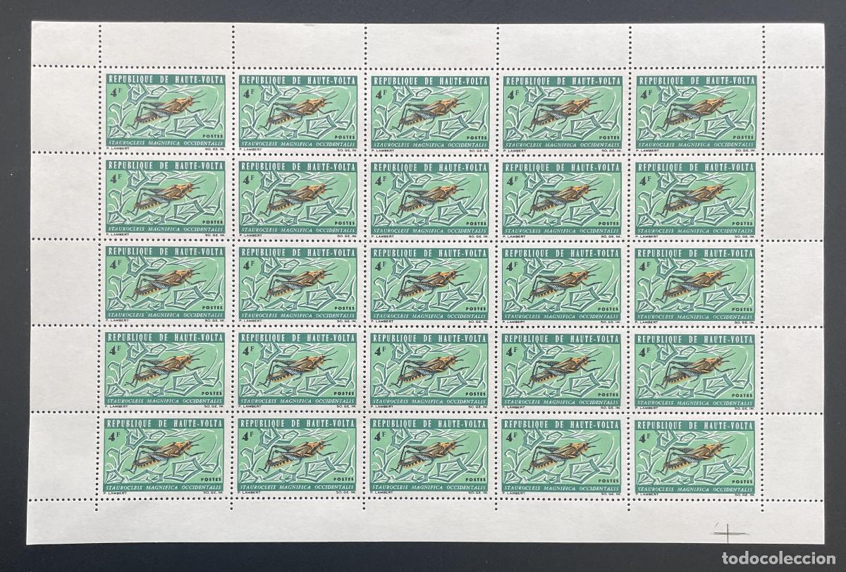 Sellos: Alto Volta 1966 YT 163 plancha saltamontes insecto fauna