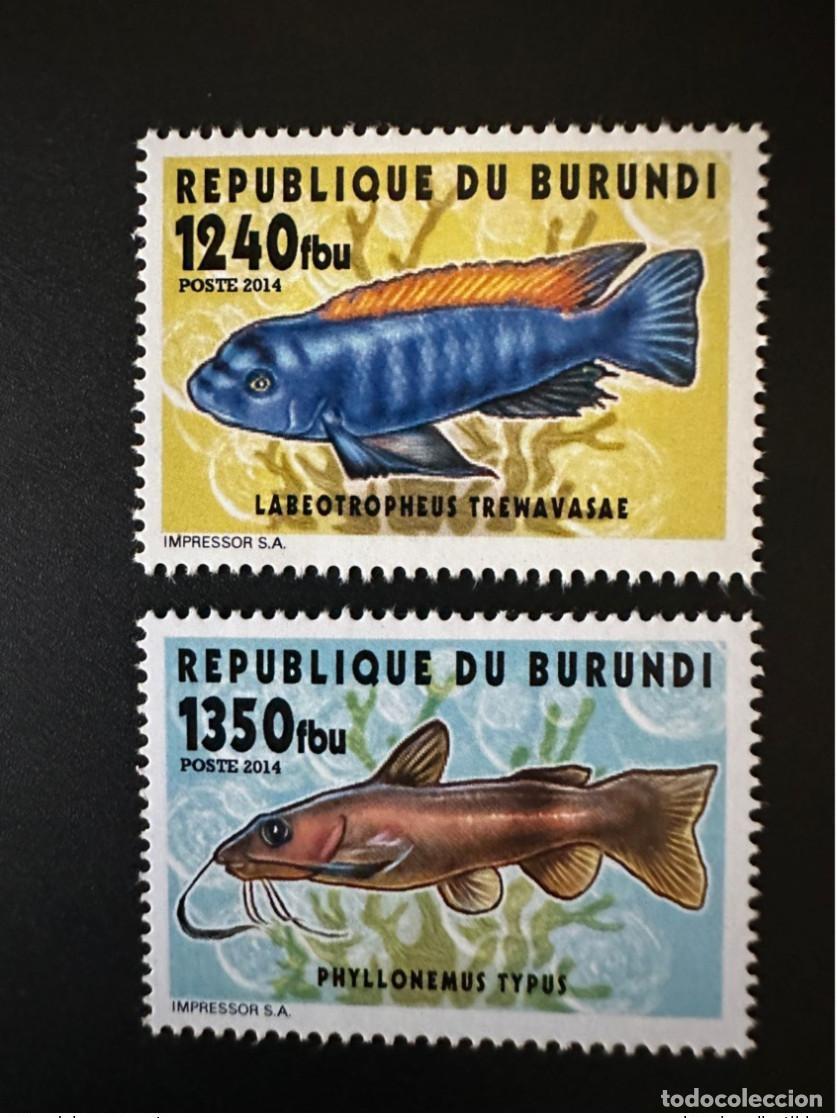 Sellos: Burundi 2014 Mi.? Pescado Labeotropheus Phyllonemus: valores locales