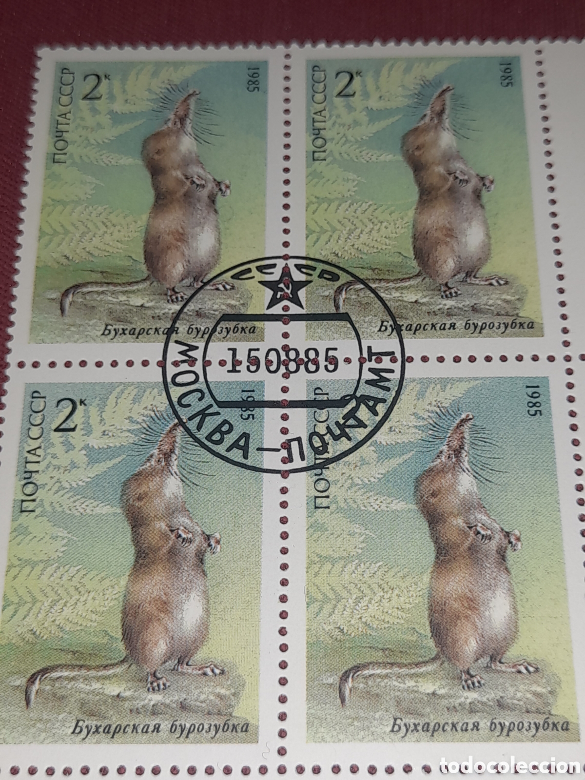 Sellos: Sello (1/5v) Rusia (URSS.CCCP) mtdo 1985. Fauna protegida. Animales salvajes. Musara&ntilde;a Pamir