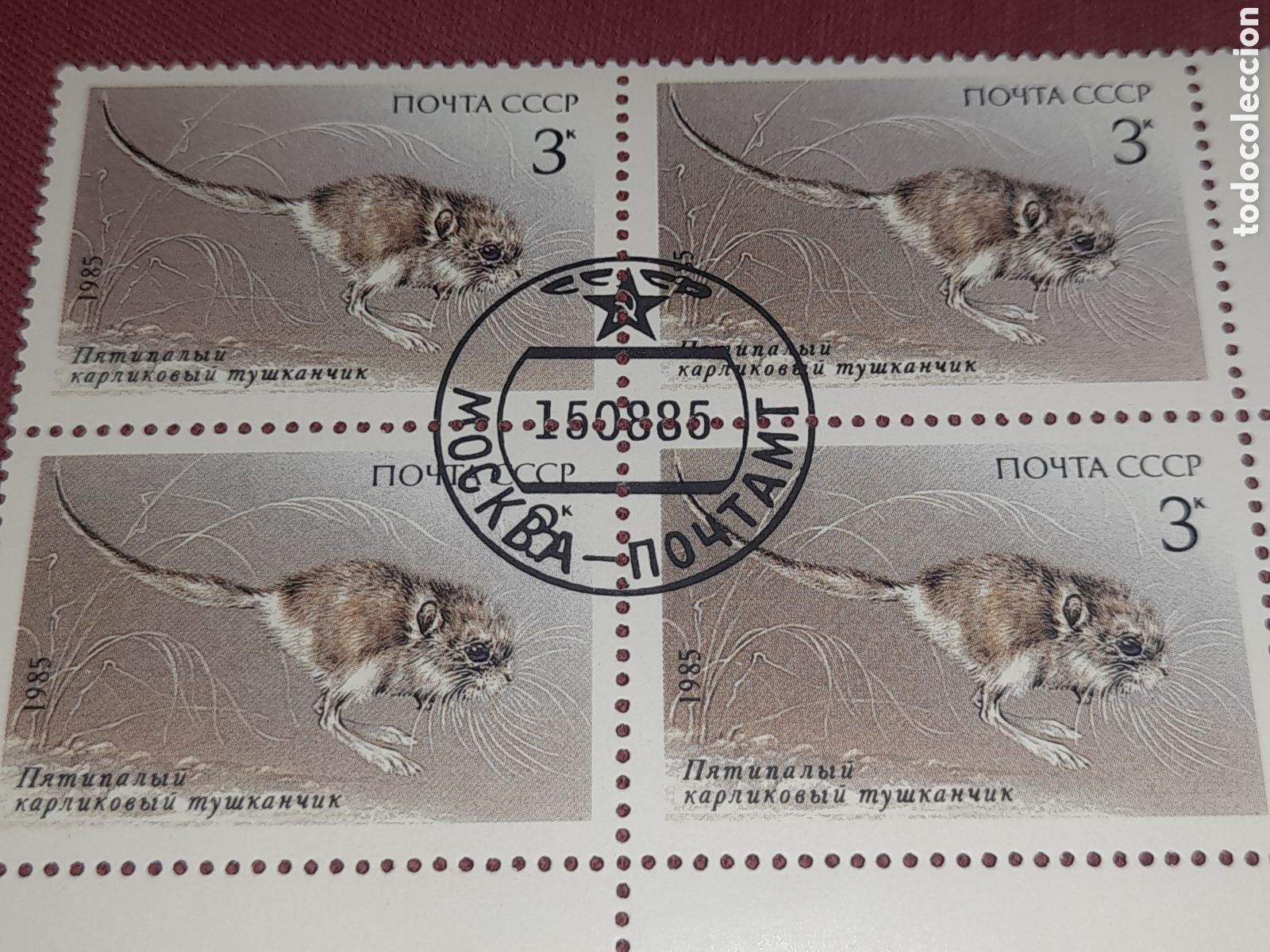 Sellos: Sello (1/5v) Rusia (URSS.CCCP) mtdo 1985. Fauna protegida. Animales salvajes. Jerbo pigneo 5 dedos.