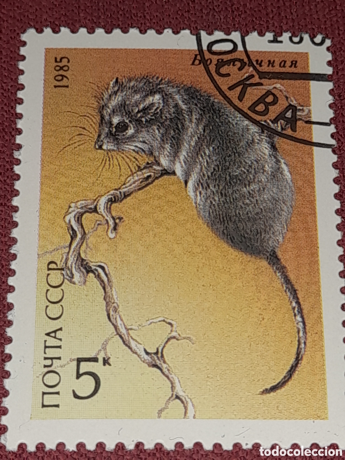 Sellos: Sello (1/5v) Rusia (URSS.CCCP) mtdo 1985. Fauna protegida. Animales salvajes. Lir&oacute;n desierto