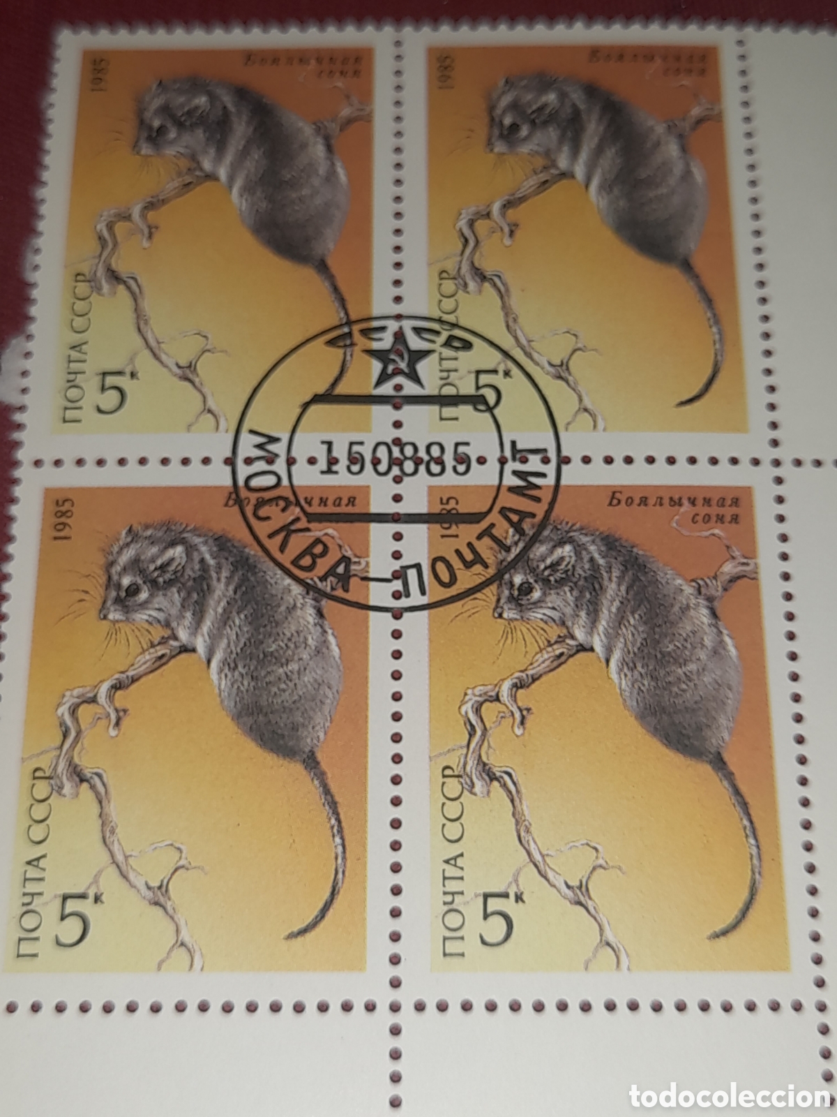 Sellos: Sello (1/5v) Rusia (URSS.CCCP) mtdo 1985. Fauna protegida. Animales salvajes. Lir&oacute;n desierto