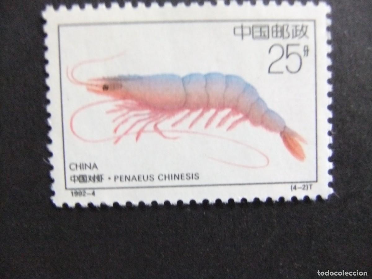 Sellos: 57 CHINA CHINE 1992 / FAUNA MARINA GAMBA - PENACEUS CHINESIS / YVERT 3112 MNH