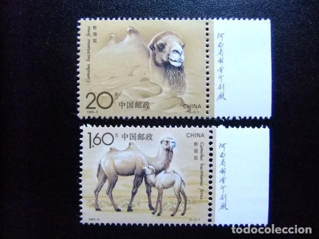 Sellos: 57 CHINA CHINE 1993 / FAUNA en PELIGRO - CAMELLOS/ YVERT 3156 / 3157 MNH
