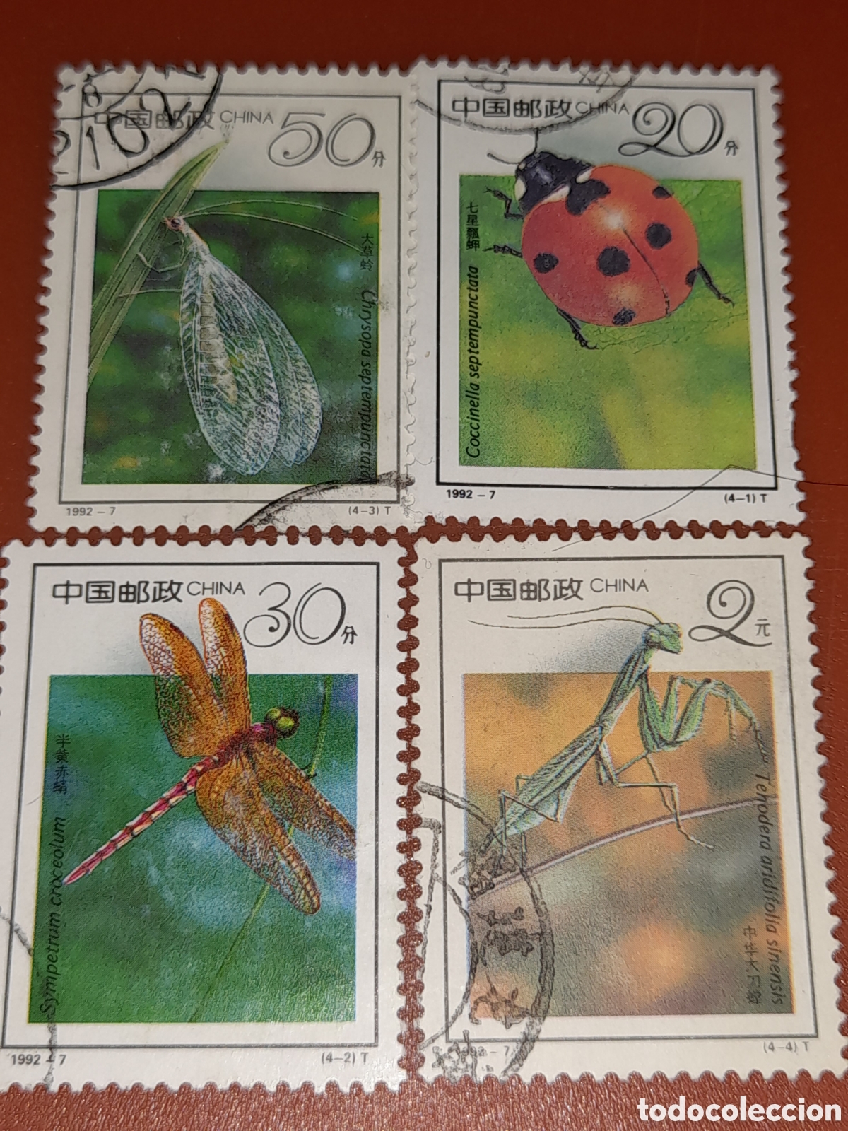 Sellos: Sello China mtdo 1992. 19 Congreso inter entomologos. Fauna. Insecto. Mariquita. Mantis. Libelula