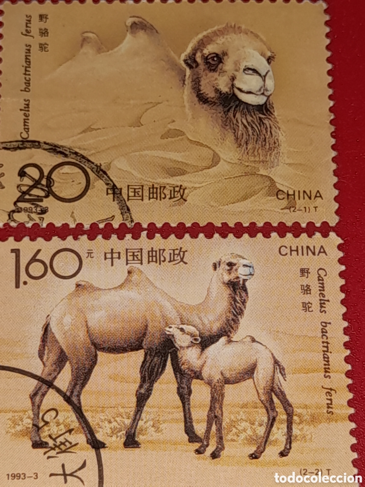 Sellos: Sello China mtdo 1993. Fauna. Dromedario. Camello. Animales dom&eacute;sticos. Mam&iacute;fero. Equino.