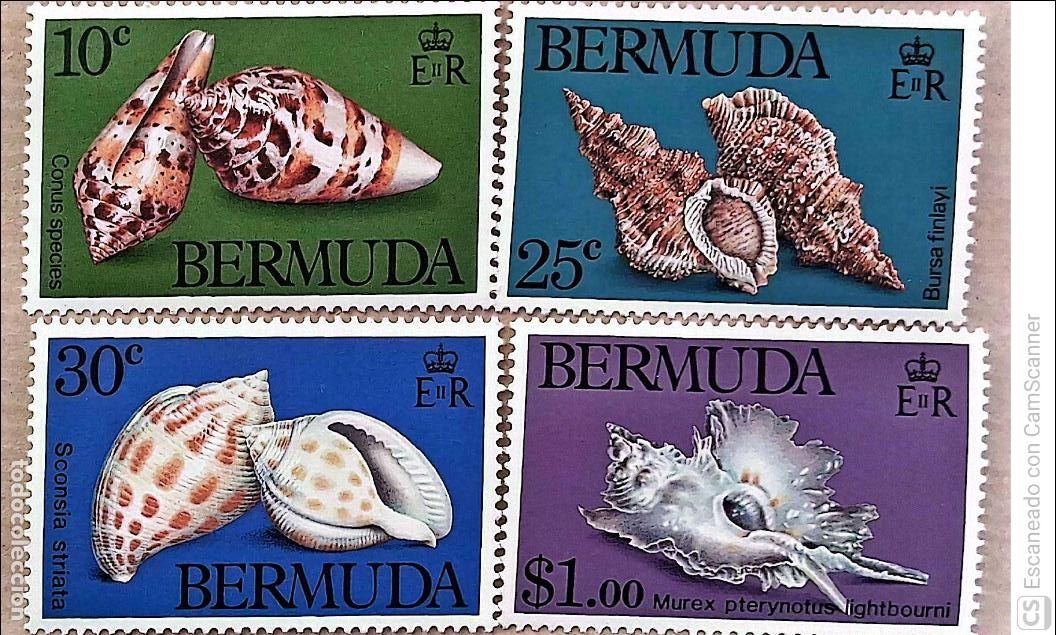Sellos: Bermudas. 409/12 Fauna marina. Conchas: Conus, bursa, sconsia y murex. 1982. Sellos nuevos y numerac