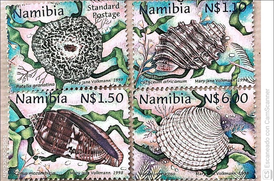 Sellos: Namibia. 856/59 Fauna: Conchas. 1998. Sellos nuevos y numeraci&oacute;n Yvert.