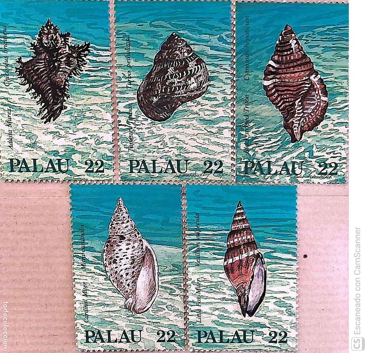 Sellos: Palau. 174/78 Fauna marina: Conchas. 1987. Sellos nuevos y numeraci&oacute;n Yvert.