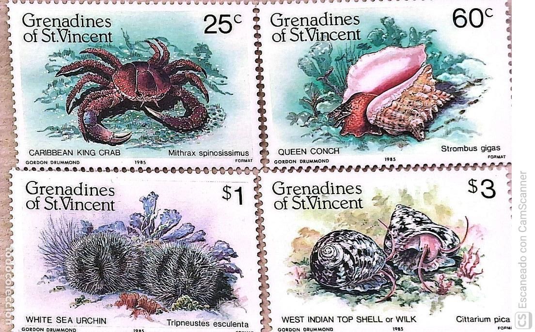Sellos: San Vicente (Islas Granadinas). 374/77 Fauna marina: Conchas, cangrejo y erizos. 1985. Sellos nuevos
