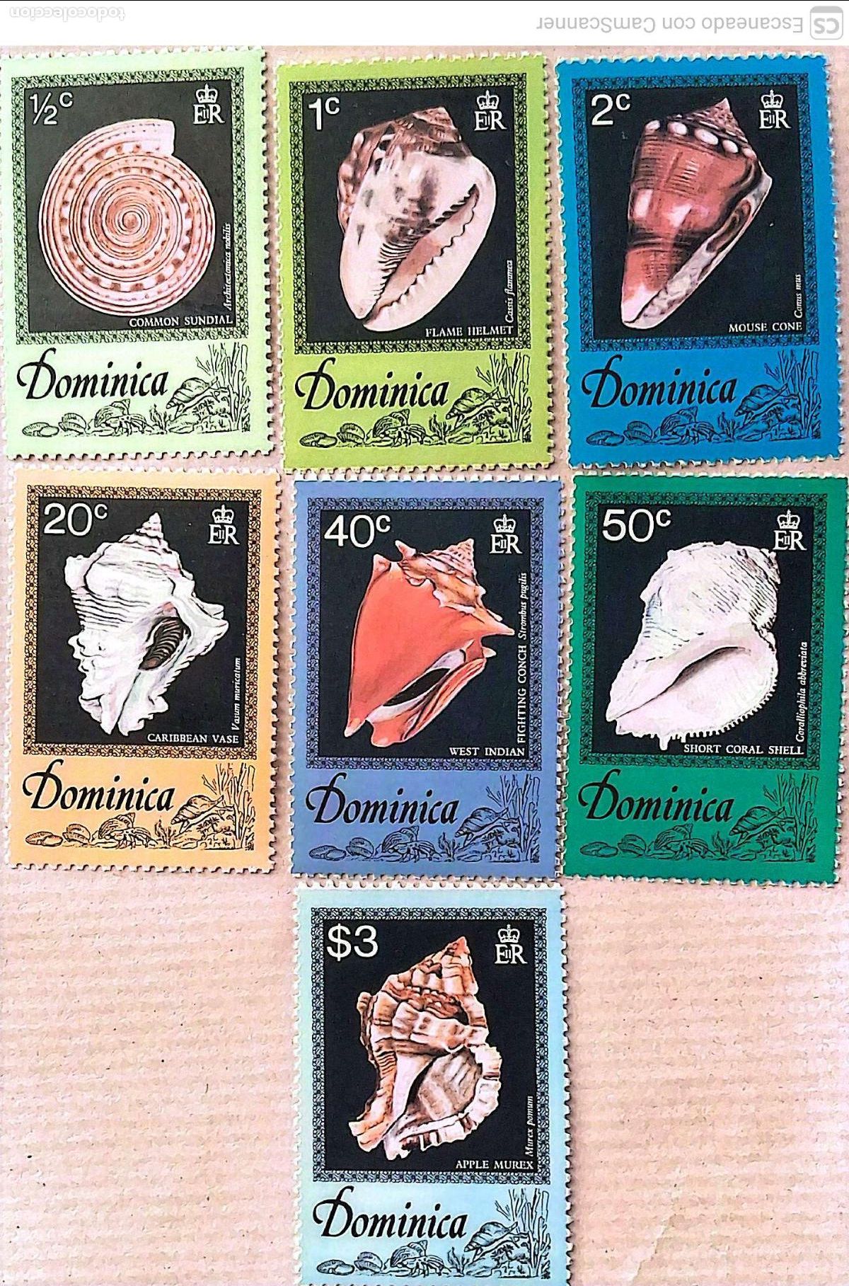 Sellos: Dominica. 505/11 Conchas del Caribe. 1976. Sellos nuevos y numeraci&oacute;n Yvert.