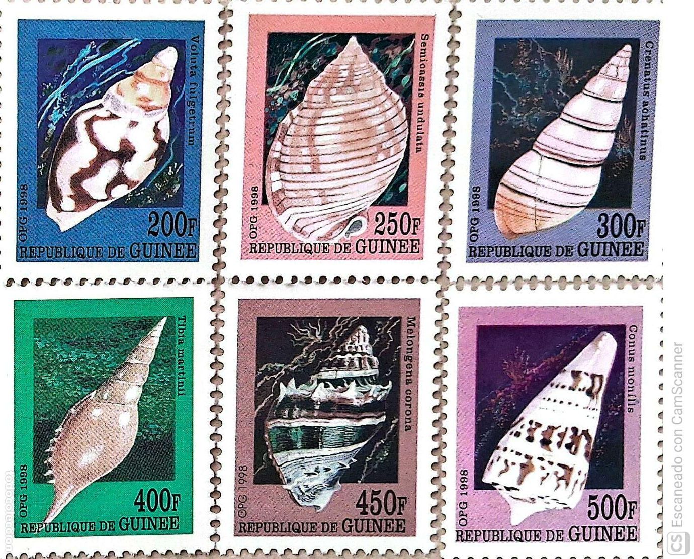 Sellos: Guinea. 1255CS/1255CX Fauna: Conchas. 1998. Sellos nuevos y numeraci&oacute;n Yvert.