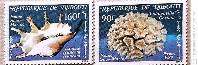 Sellos: Yibuti. 647/48 Fauna submarina: Lobophyllia y lambis truncata. 1989. Sellos nuevos y numeraci&oacute;n Yver