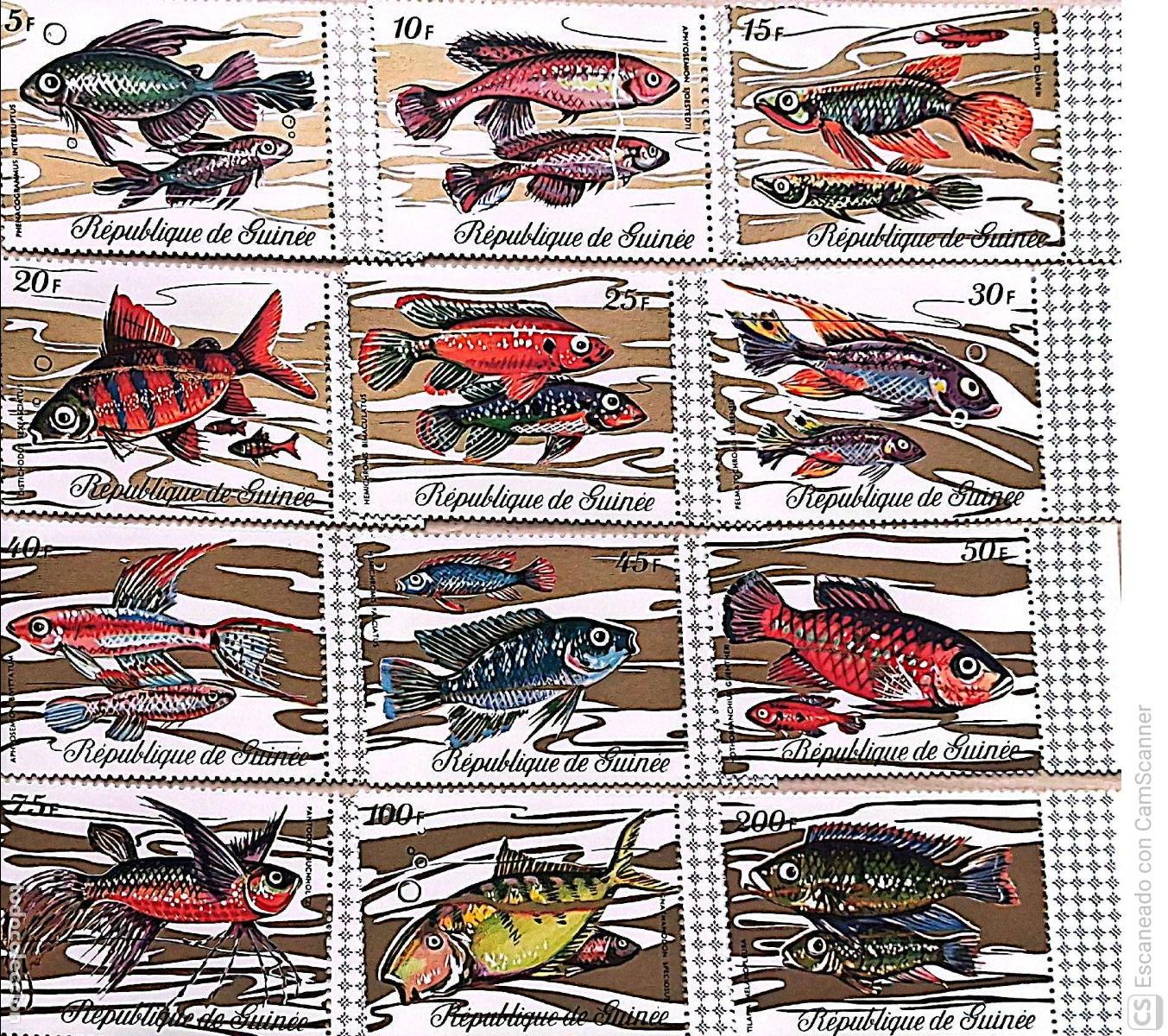Sellos: Guinea. 428/39 Peces. 1971. Sellos nuevos y numeraci&oacute;n Yvert.