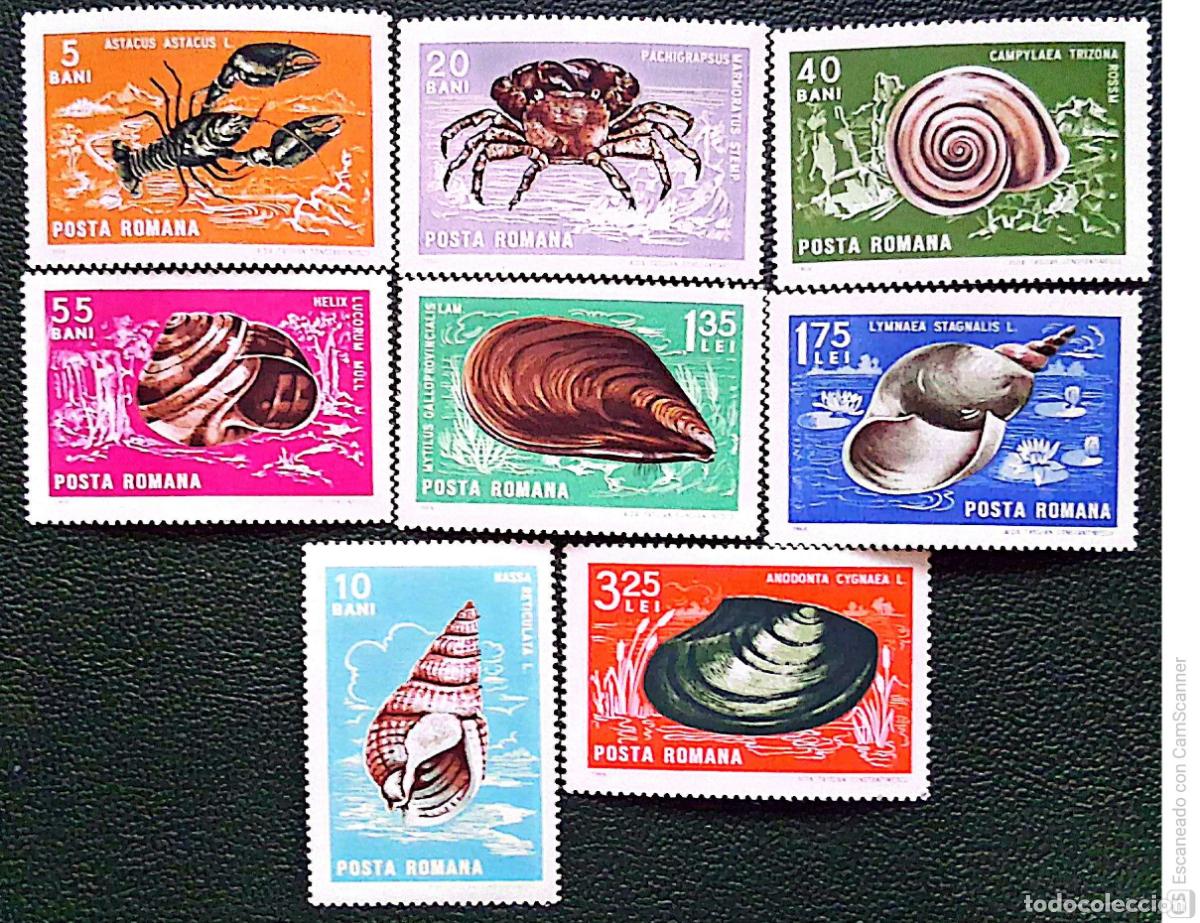 Sellos: Ruman&iacute;a. 2240/47 Crust&aacute;ceis y noluscos. 1966. Sellos nuevos y numeraci&oacute;n Yvert.