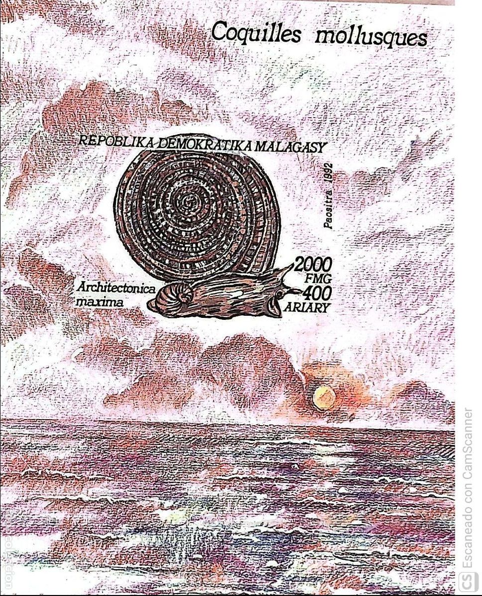 Sellos: Madagascar. HB 83 Fauna marina: Conchas. 1992. Sellos nuevos y numeraci&oacute;n Yvert.