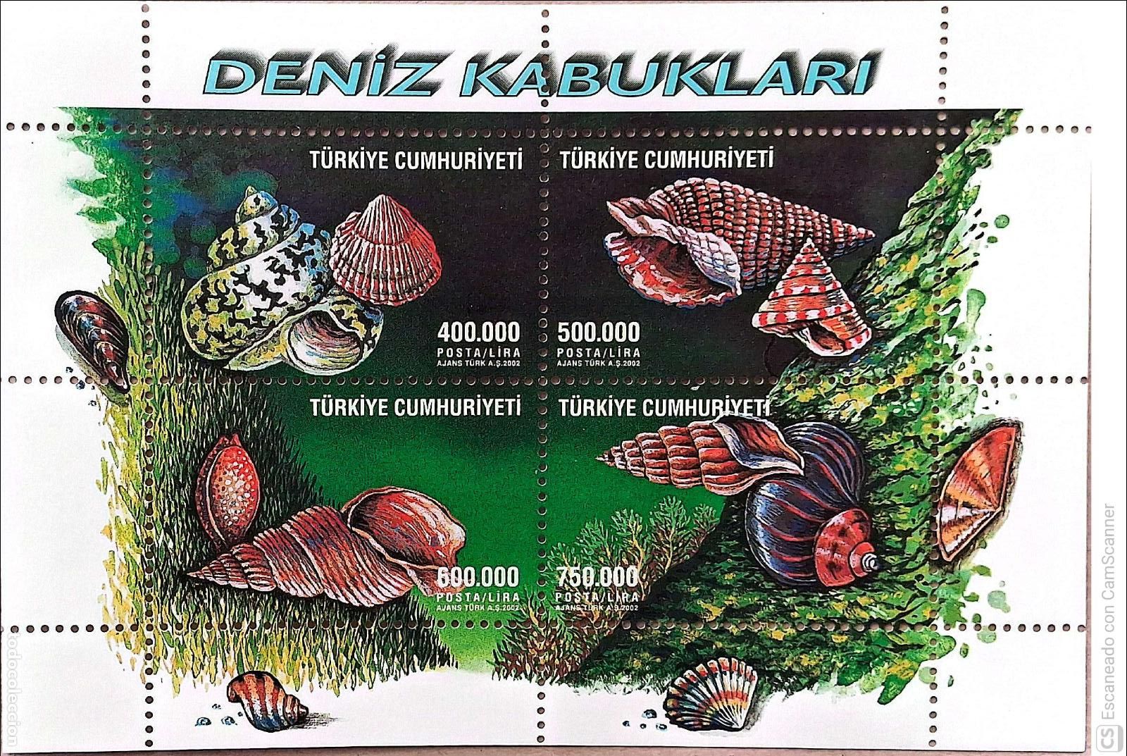 Sellos: Turqu&iacute;a 3042/45 Fauna marina: Conchas. 2002. Sellos nuevos y numeraci&oacute;n Yvert.