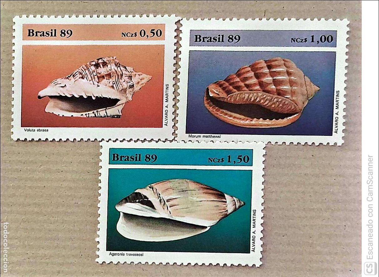 Sellos: Brasil. 1934A-34C Fauna marina: Conchas. 1989. Sellos nuevos y numeraci&oacute;n Yvert.
