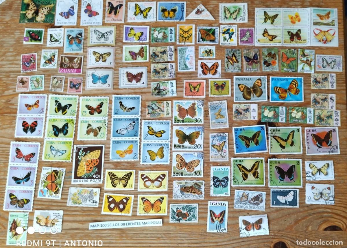 Sellos: MAP-100 SELLOS DIFERENTES INSECTOS, MARIPOSAS, FOTO REALE, SELLOS TEM&Aacute;TICOS
