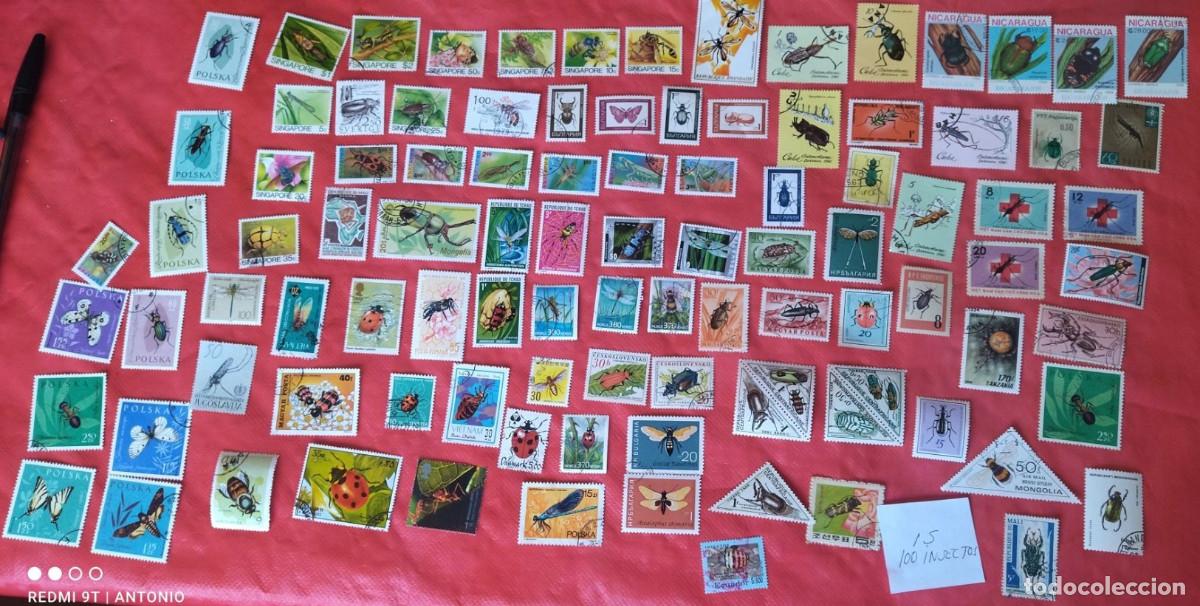 Sellos: IS-100 SELLOS DIFERENTES INSECTOS, FOTO REALES, SELLOS TEM&Aacute;TICOS
