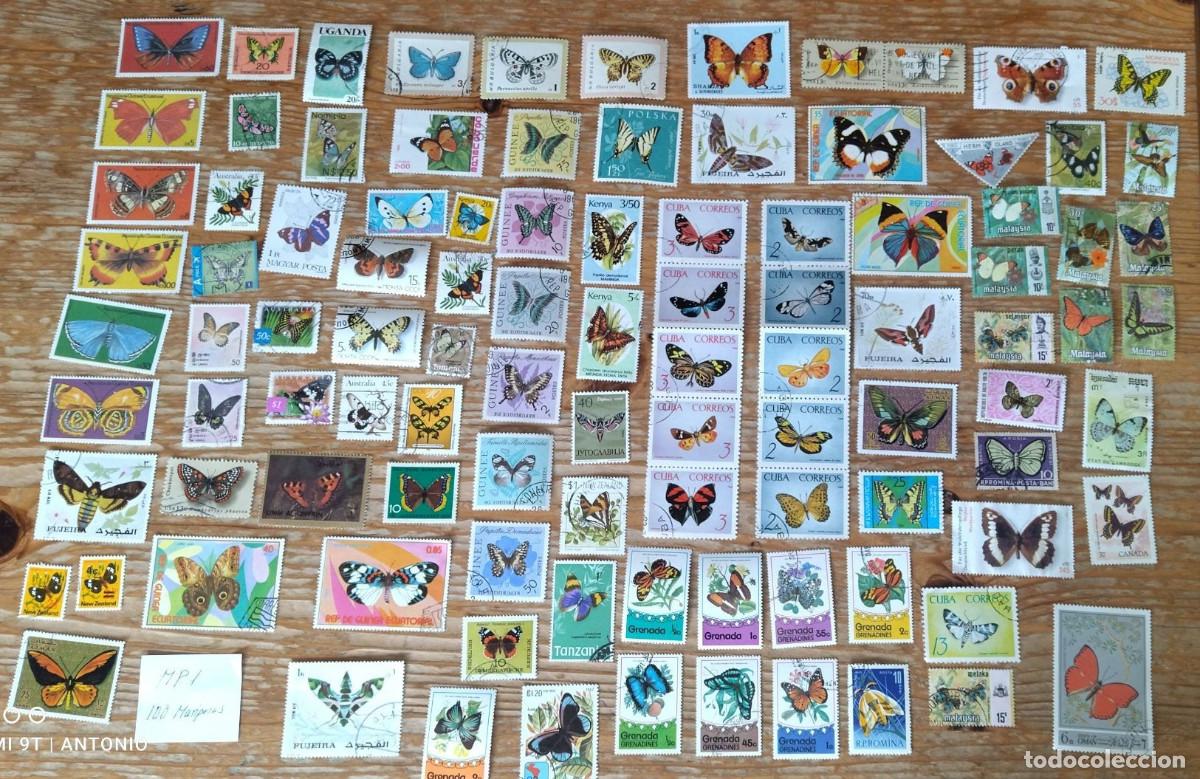 Sellos: MP1-100 SELLOS DIFERENTES INSECTOS, MARIPOSAS, FOTO REALE, SELLOS TEM&Aacute;TICOS