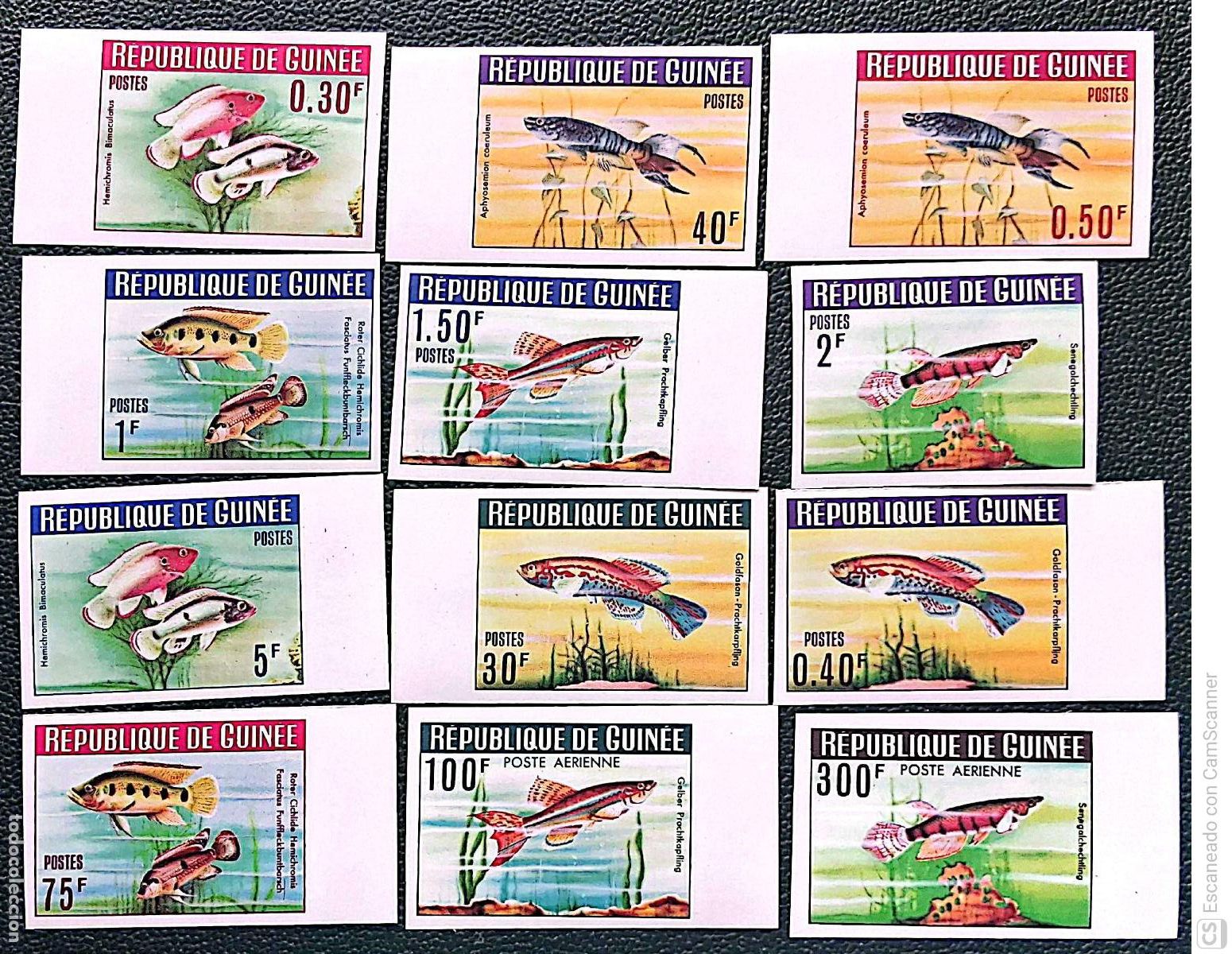 Sellos: Guinea. 177/86 + A 38/39 Fauna: Peces. SIN DENTAR. 1964. Sellos nuevos y numeraci&oacute;n Yvert.
