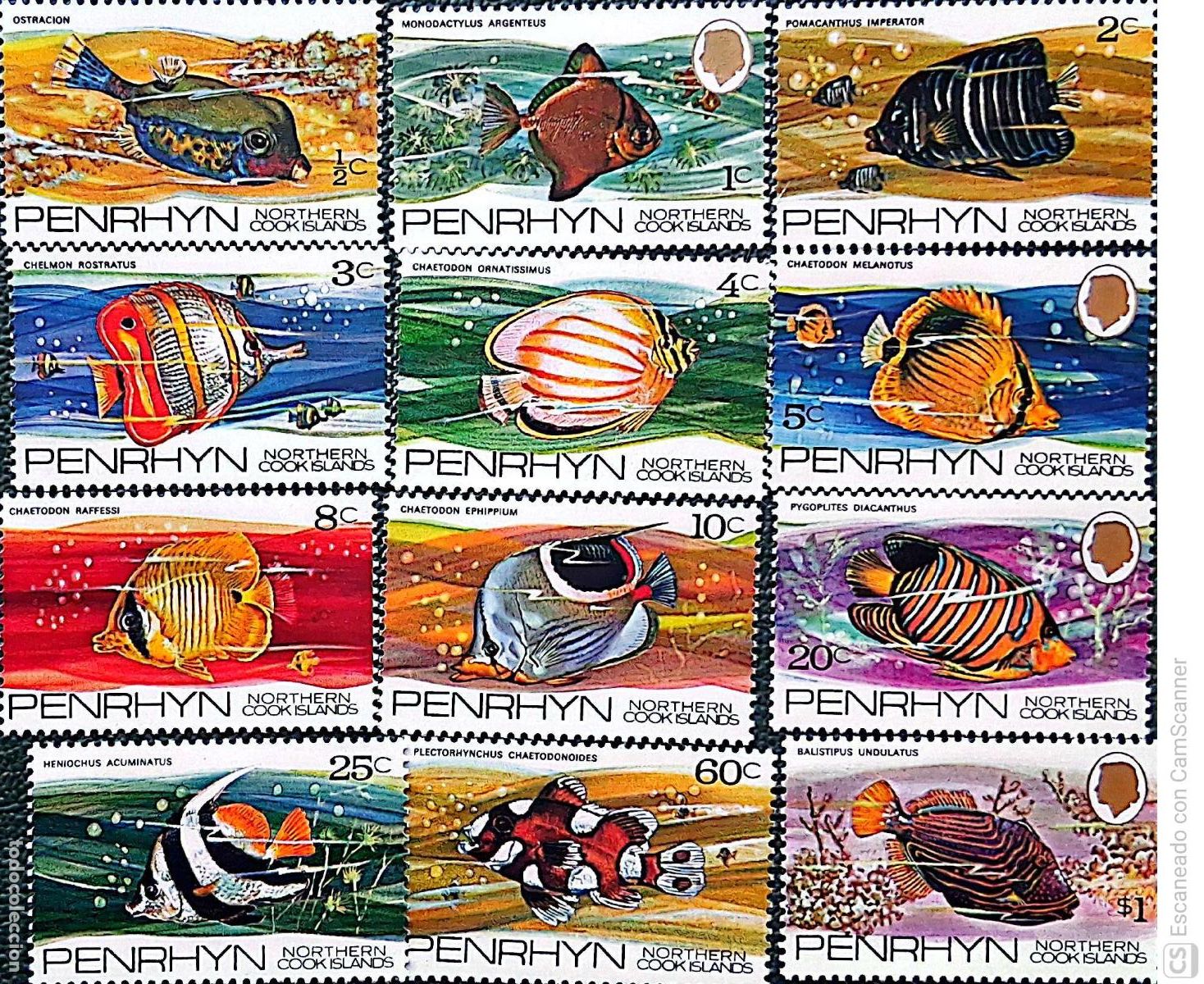 Sellos: Penrhyn. 42/53 Serie b&aacute;sica: Peces. 1974. Sellos nuevos y numeraci&oacute;n Yvert.