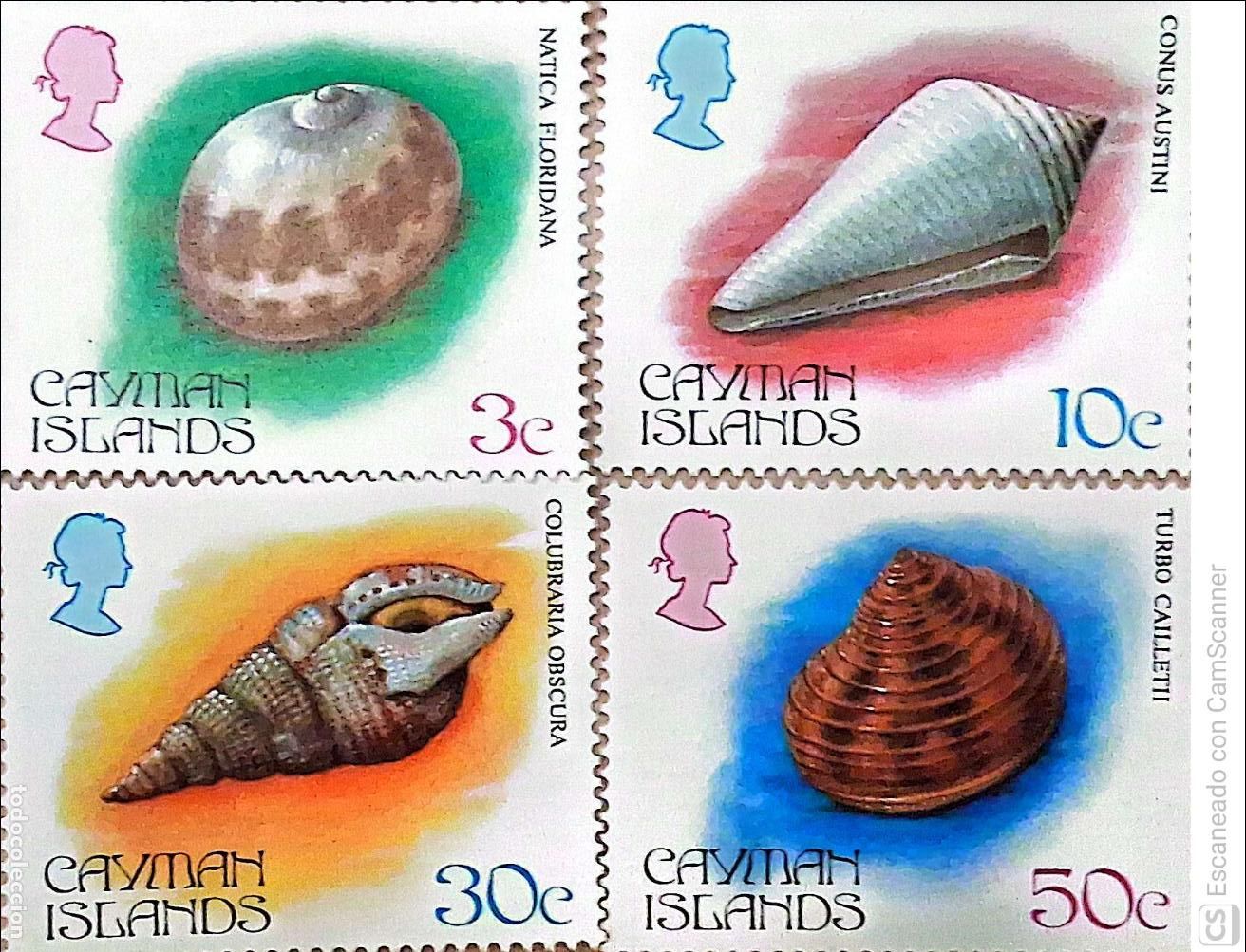 Sellos: Islas Caim&aacute;n. 525/28 Fauna marina: Conchas. 1984. Sellos nuevos y numeraci&oacute;n Yvert.