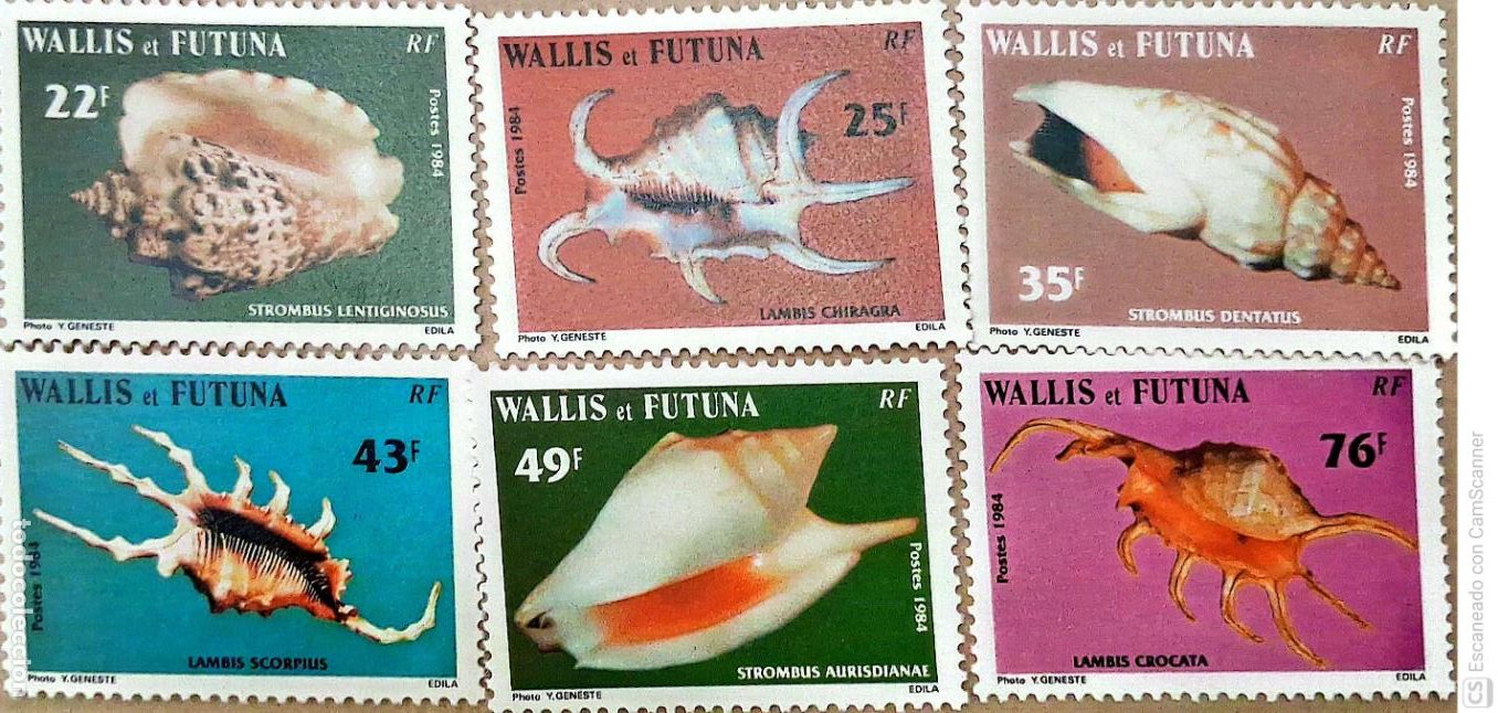 Sellos: Wallis y Futuna. 312/17 Fauna marina: Conchas. 1984. Sellos nuevos y numeraci&oacute;n Yvert.