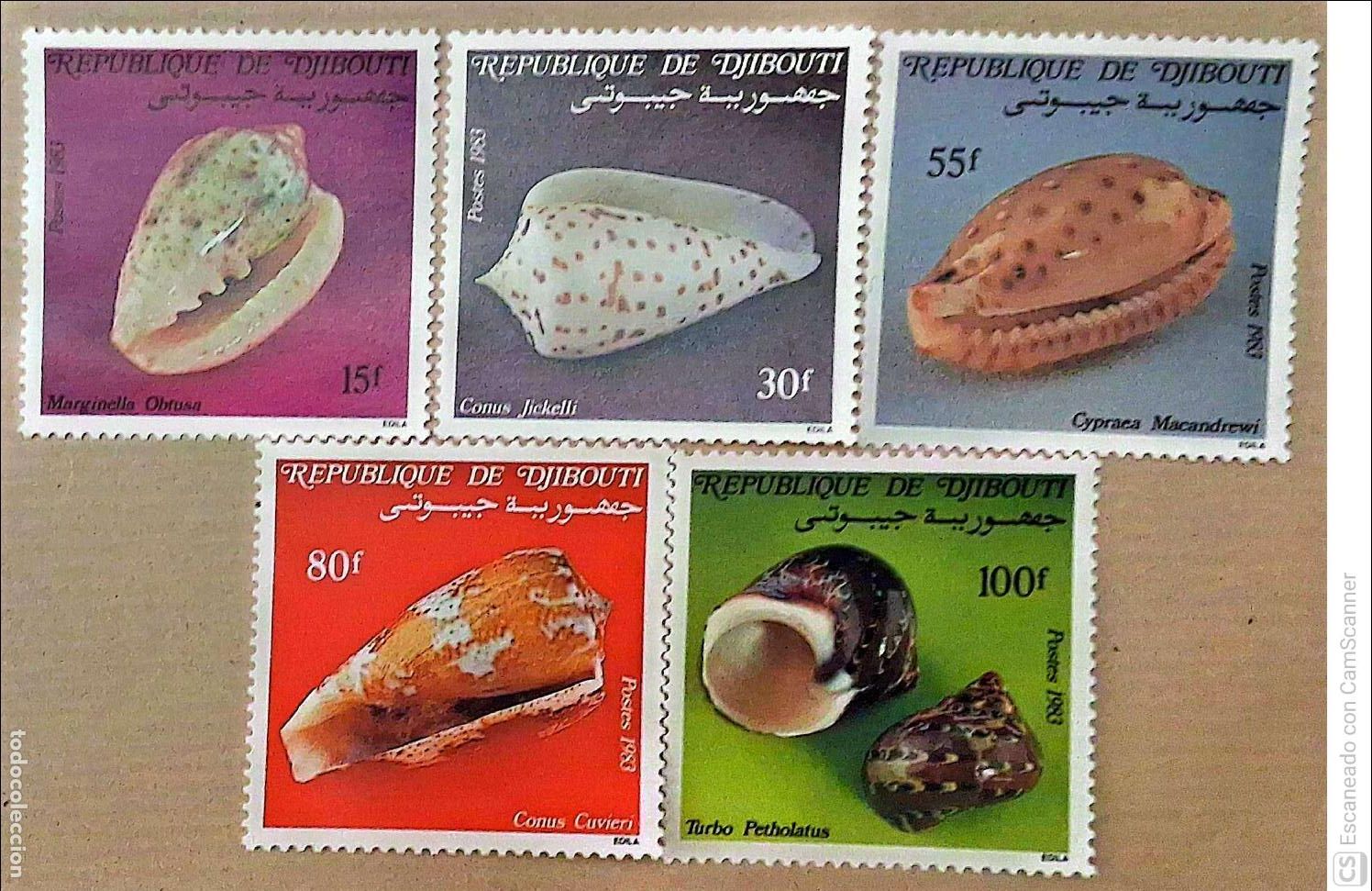 Sellos: Yibuti. 569/73 Fauna marina: Conchas. 1983. Sellos nuevos y numeraci&oacute;n Yvert.