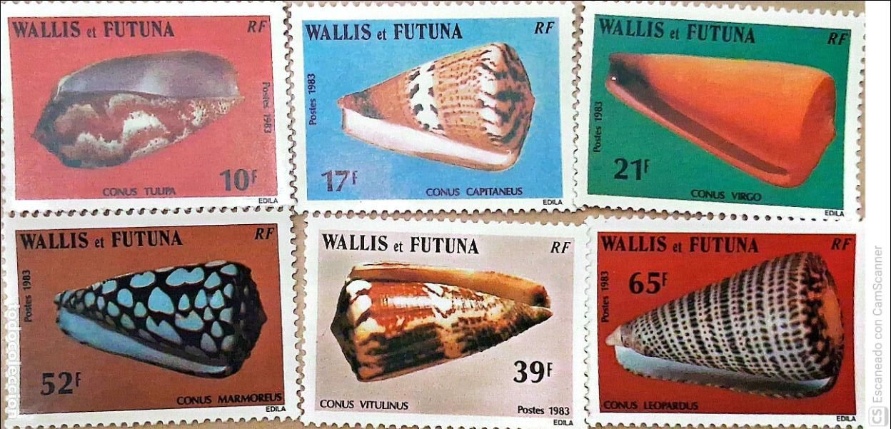 Sellos: Wallis y Futuna. 306/11 Fauna marina: Conchas. 1983. Sellos nuevos y numeraci&oacute;n Yvert.