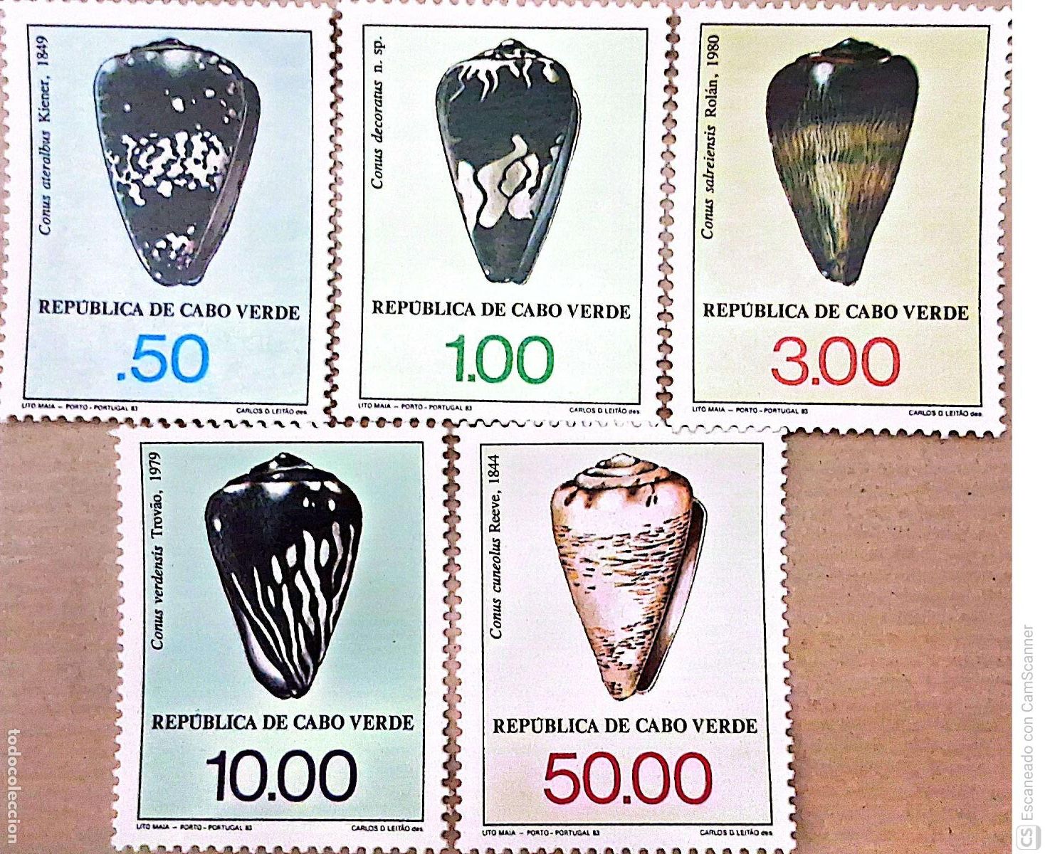 Sellos: Cabo Verde. 474/78 Fauna marina: Conchas. 1983. Sellos nuevos y numeraci&oacute;n Yvert.