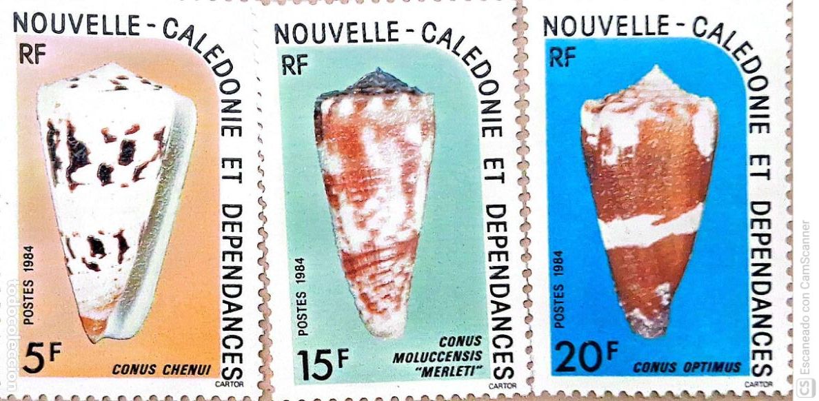 Sellos: Nueva Caledonia. 481/83 Fauna marina: Conchas. 1984. Sellos nuevos y numeraci&oacute;n Yvert. 1,30