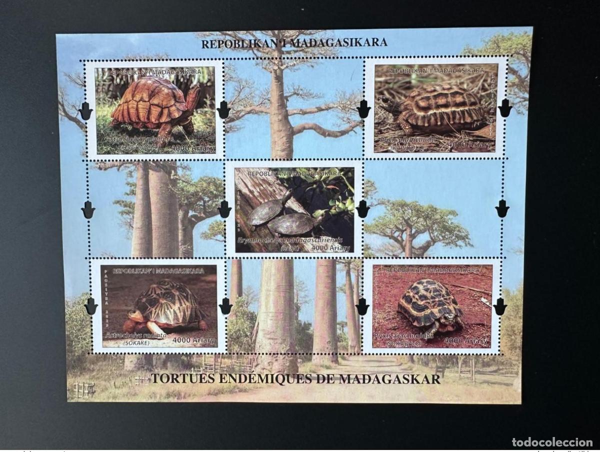 Sellos: Madagascar 2023 Mi. &iquest;Bl.? Block S/S: tortugas end&eacute;micas vida silvestre reptiles.