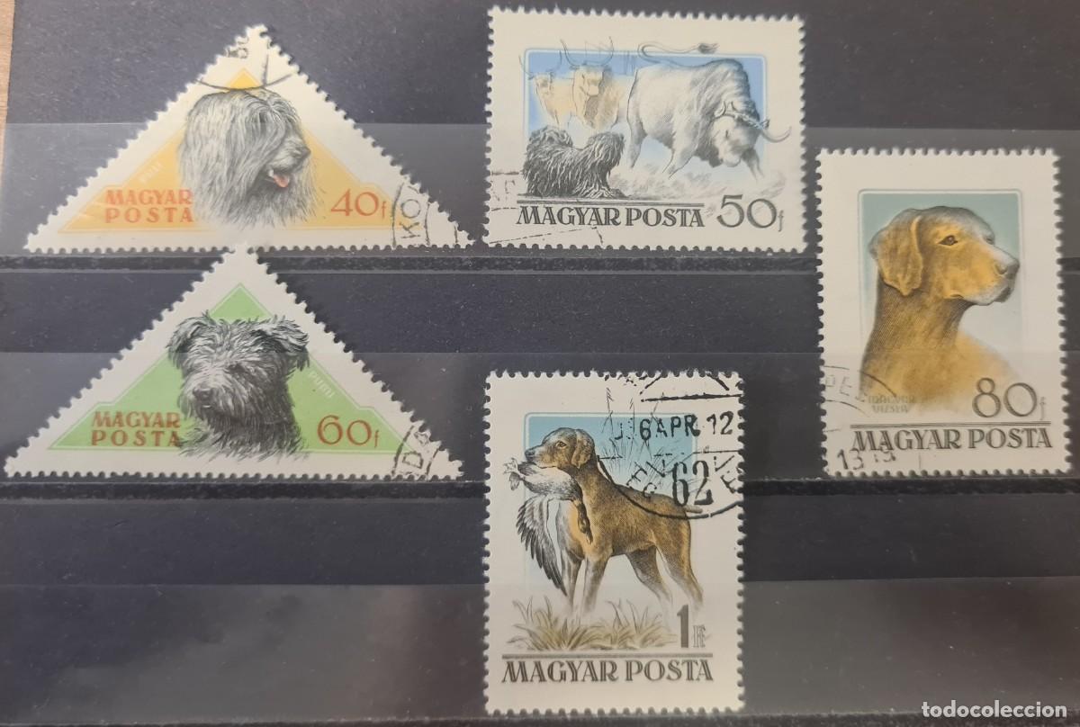 Sellos: Serie de sellos usados de Hungr&iacute;a 1956: perros