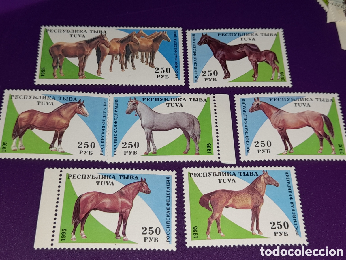 Sellos: Sello Tuva (Rusia) nuevo 1995. Animales domestico. Caballos. Fauna. Equinos. Doma. Mam&iacute;feros.