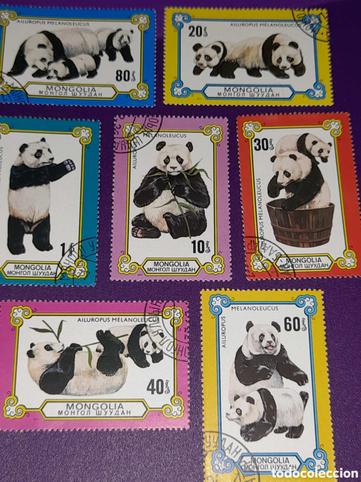 Sellos: Sello Mongolia mtdo 1977. Oso panda gigante. Mam&iacute;fero. Animales salvajes. Fauna. S&iacute;mbolo.