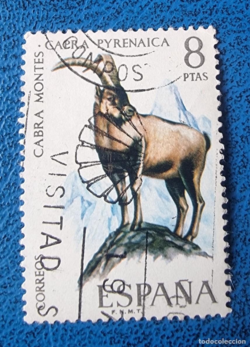 Sellos: SELLO USADO ESPA&Ntilde;A 1971 CABRA MONTES - CAPRA PYRENAICA
