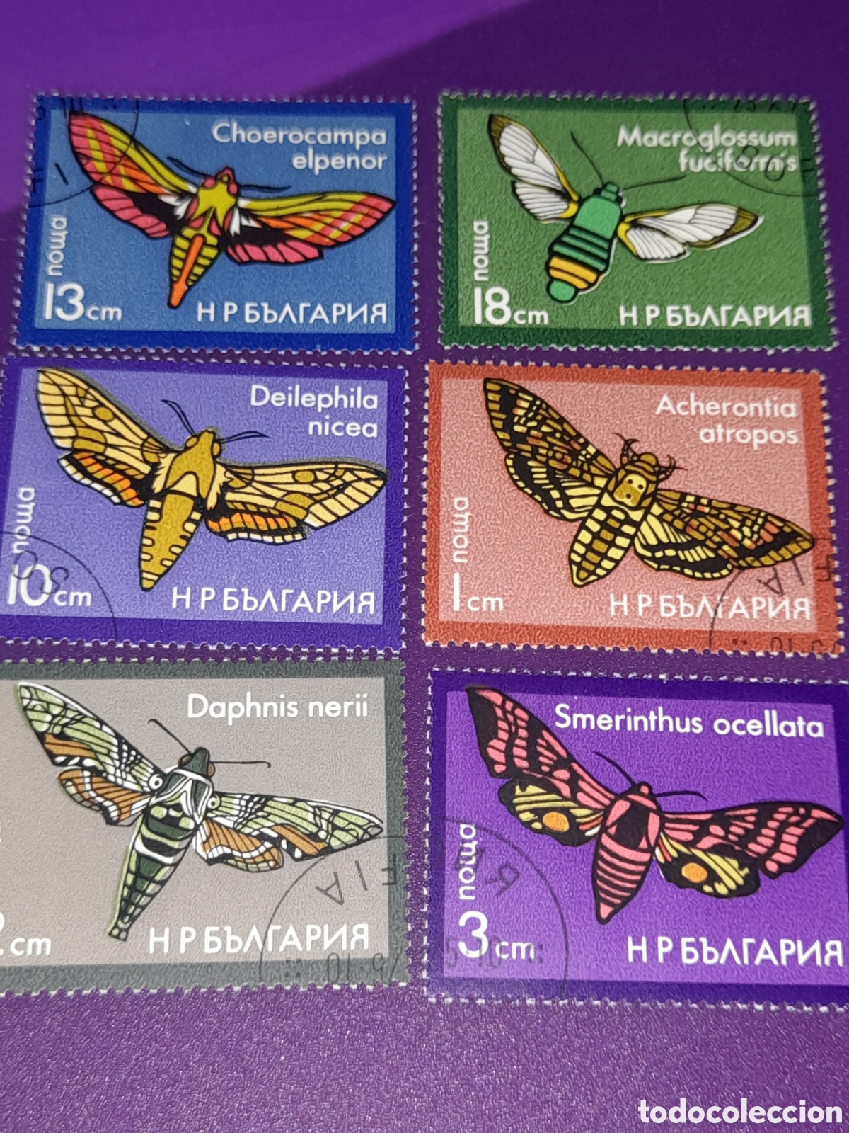 Sellos: Sello Bulgaria mtdo 1975. Polillas. Insectos. Fauna. Animales. Orugas. Mariposas.