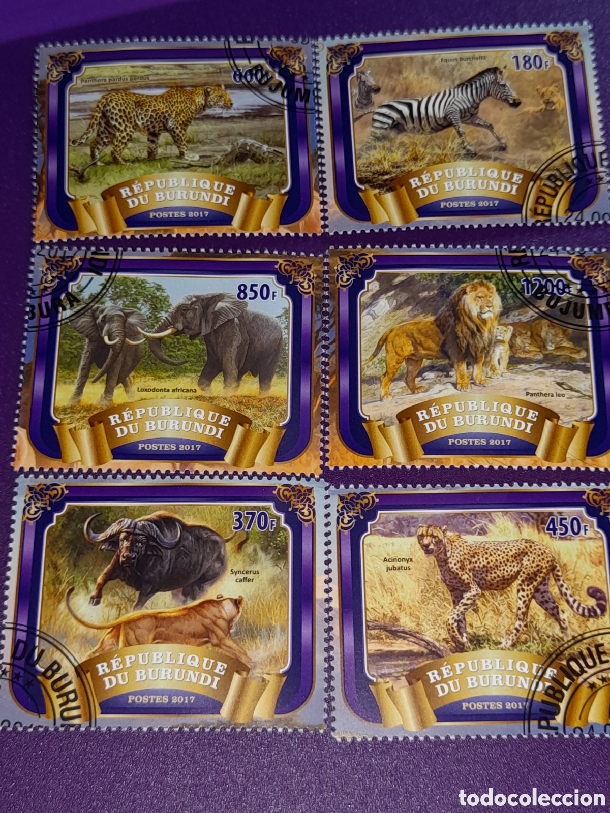 Sellos: Sello Burundi mtdo 2017. Animales salvajes. Fauna sabana. Elegante. Le&oacute;n. Cebra. Pantera. B&uacute;falo. Ma