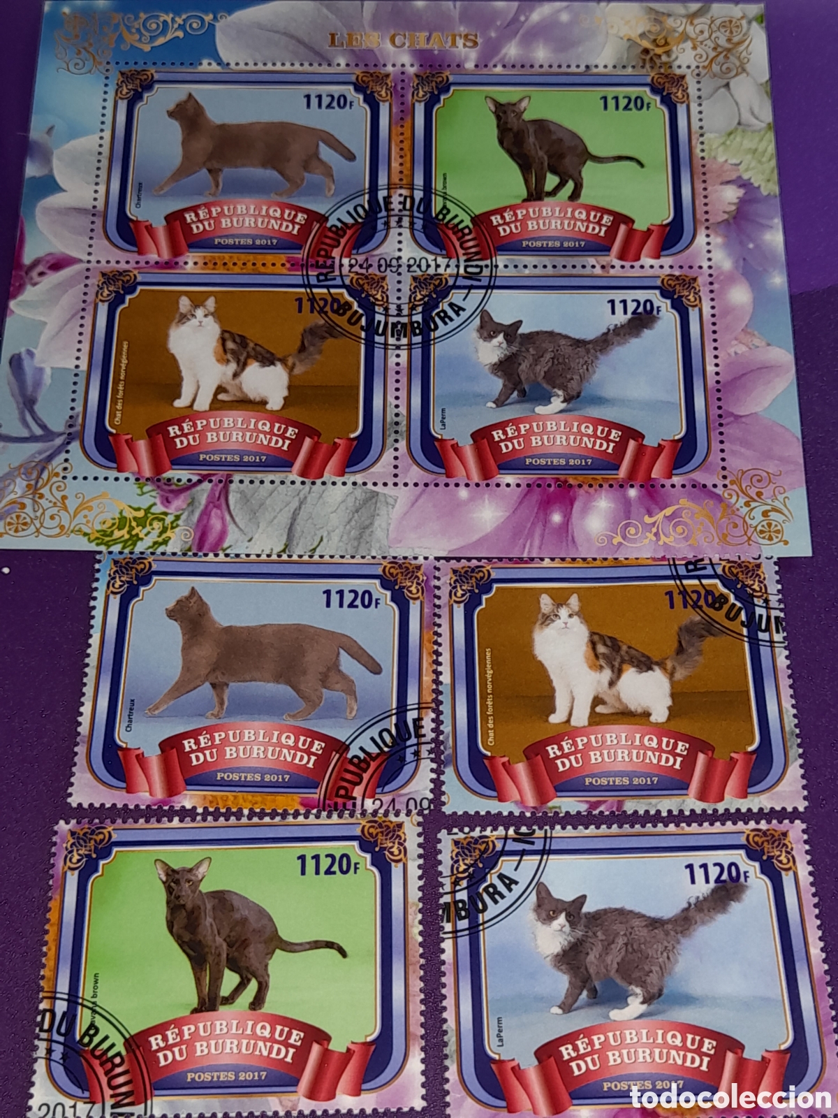 Sellos: HB Burundi mtdo 2017. Animales domestico mam&iacute;fero. Gatos. Fauna. Felinos.