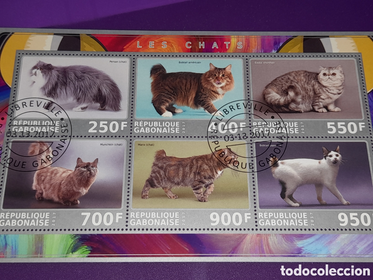 Sellos: HB Grabon mtdo 2017. Animales dom&eacute;sticos mam&iacute;feros. Gatos. Felinos. Fauna.