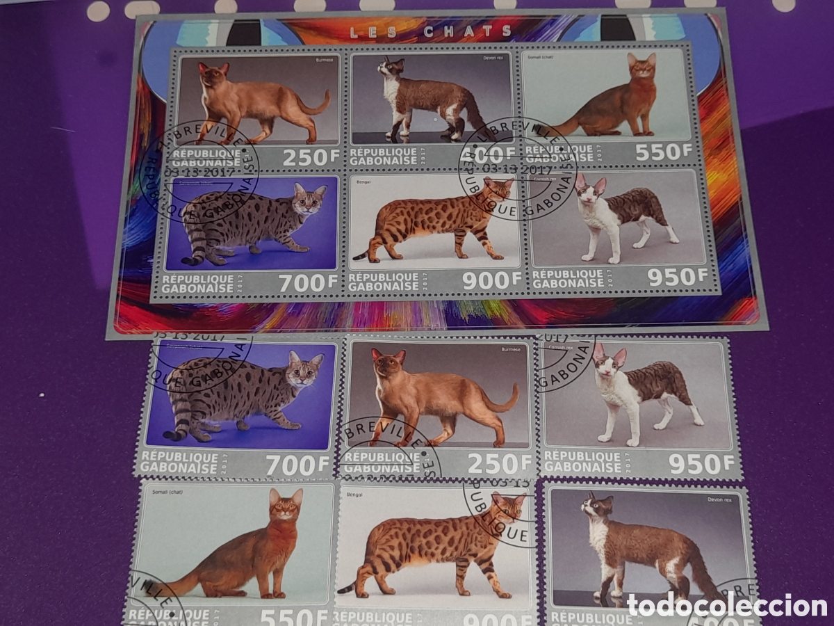 Sellos: HB + sello Grabon mtdo 2017. Animales dom&eacute;sticos mam&iacute;feros. Gatos. Felinos. Fauna.