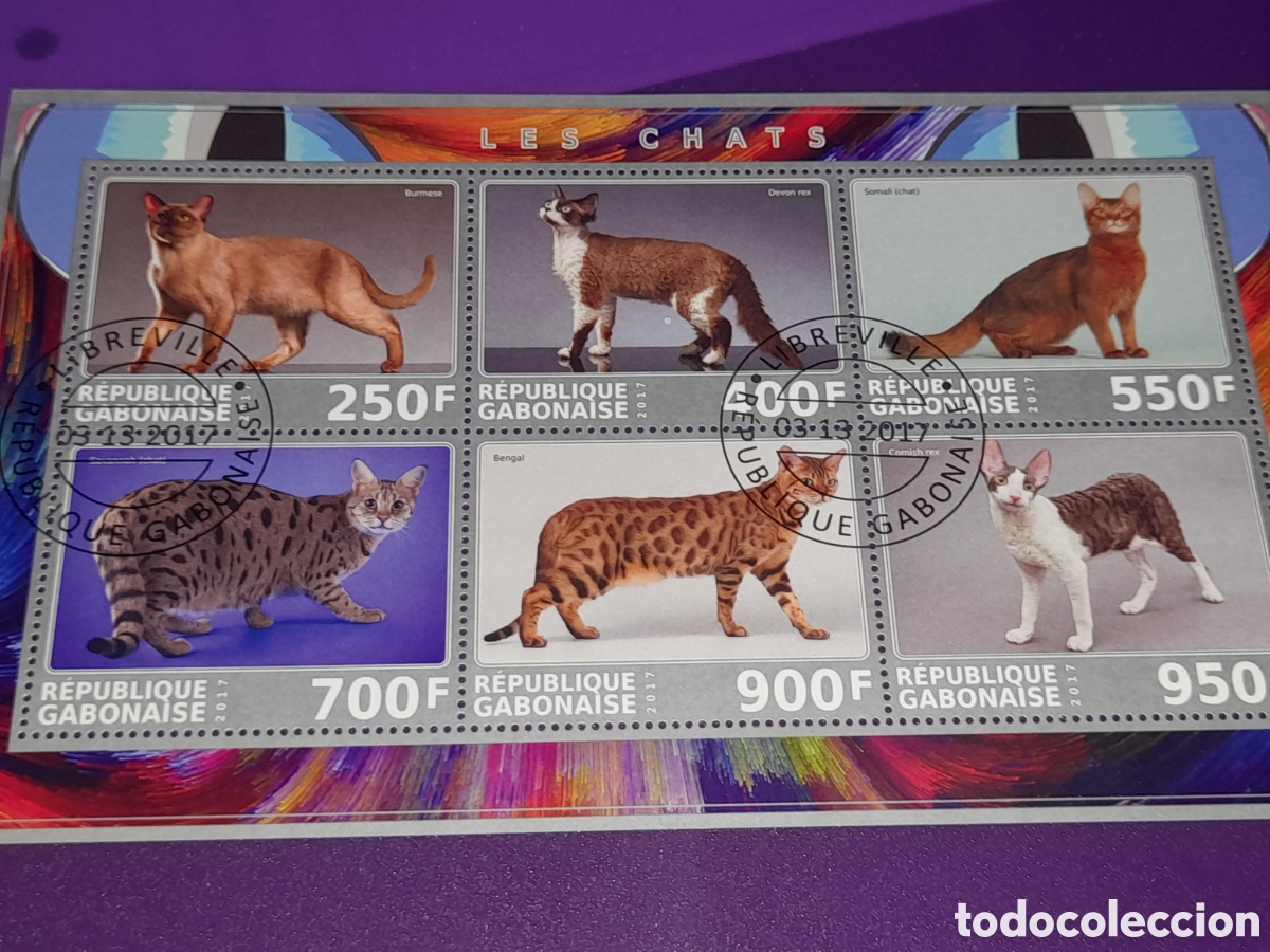 Sellos: HB Grabon mtdo 2017. Animales dom&eacute;sticos mam&iacute;feros. Gatos. Felinos. Fauna.