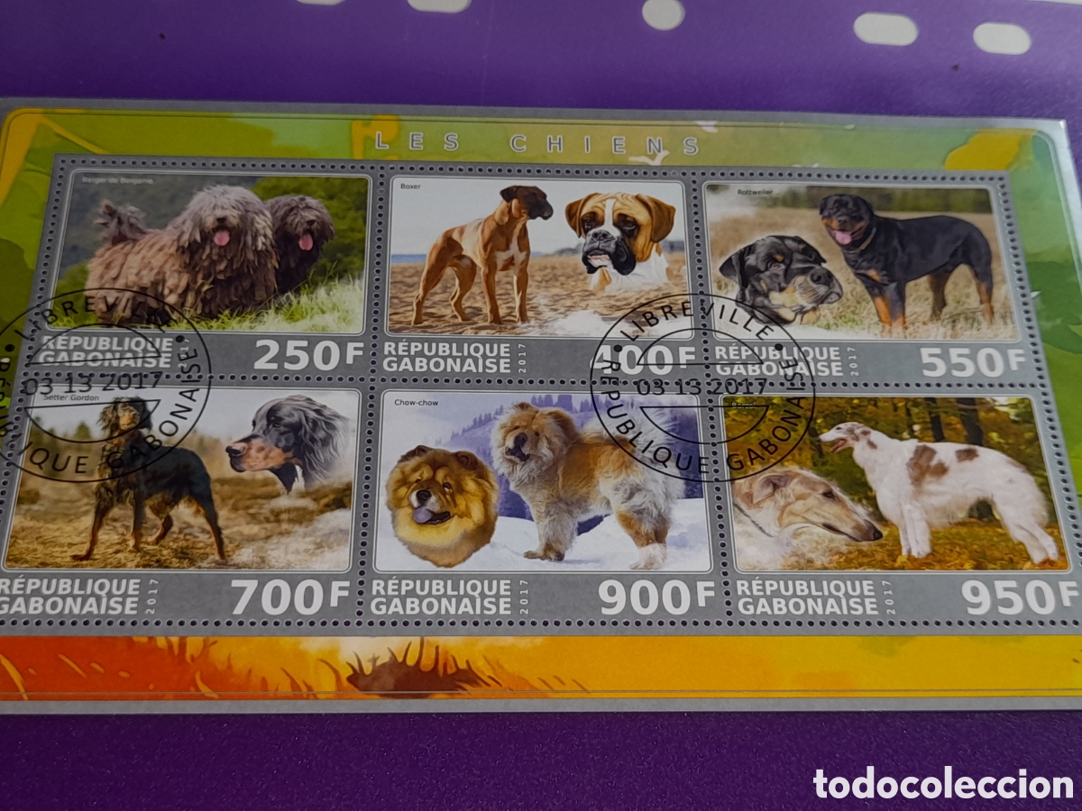 Sellos: HB Gabon mtdo 2017. Animales dom&eacute;sticos mam&iacute;feros. Perros. Fauna.