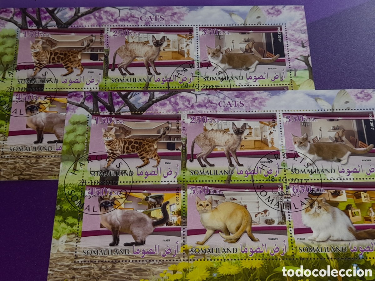 Sellos: HB Somalia mtdo 2017. Animales dom&eacute;sticos mam&iacute;feros. Gatos. Felinos. Fauna.