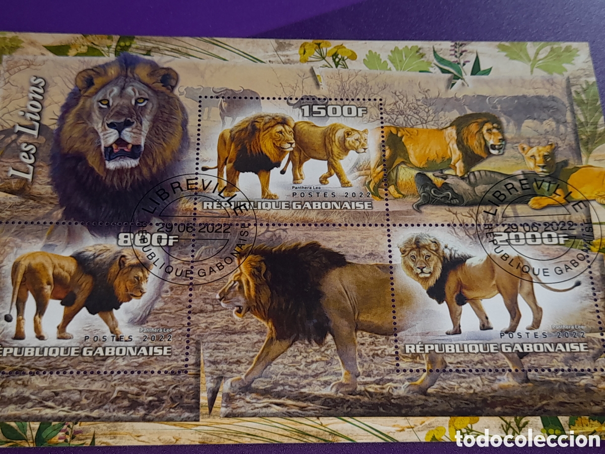 Sellos: HB Gabon mtdo 2022. Animales salvajes. Fauna. Le&oacute;n. Felinos. Mam&iacute;feros. Tigre.