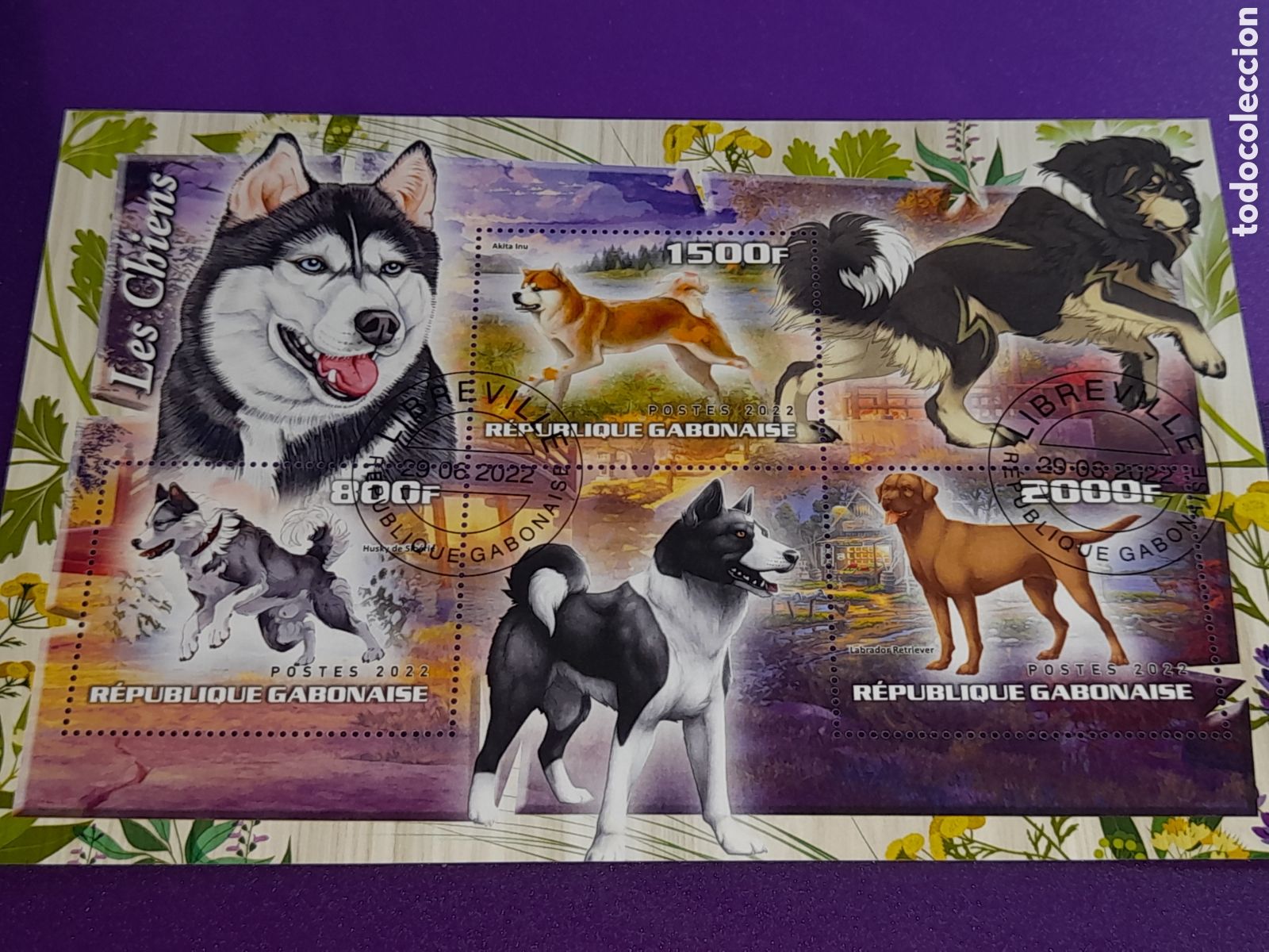 Sellos: HB Gabon mtdo 2017. Animales dom&eacute;sticos mam&iacute;feros. Perros. Fauna.